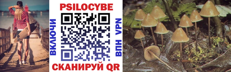 Псилоцибиновые грибы MAGIC MUSHROOMS  Купить закладки  Алексеевка 