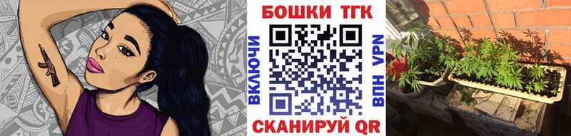 Купить закладки  Алексеевка  Бошки Шишки гибрид 